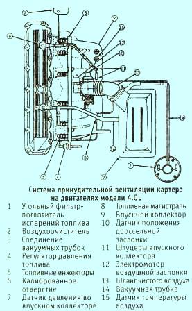 Система вентиляции картера двигателя 4.0л.