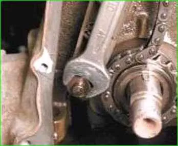Reemplazo del zapato tensor de la cadena