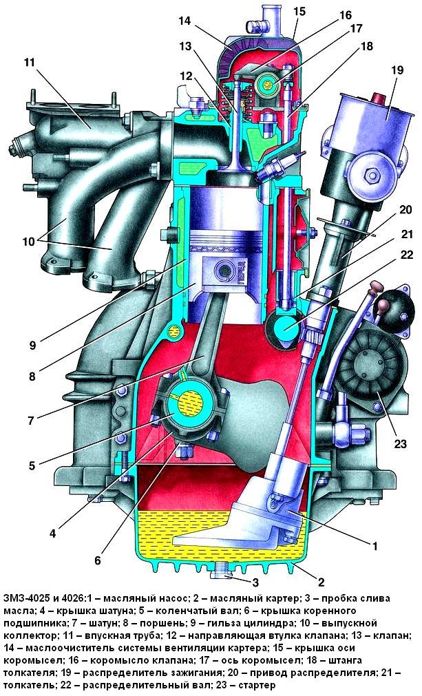 Поперечний розріз двигунів мод. ЗМЗ-4025 та ЗМЗ-4026