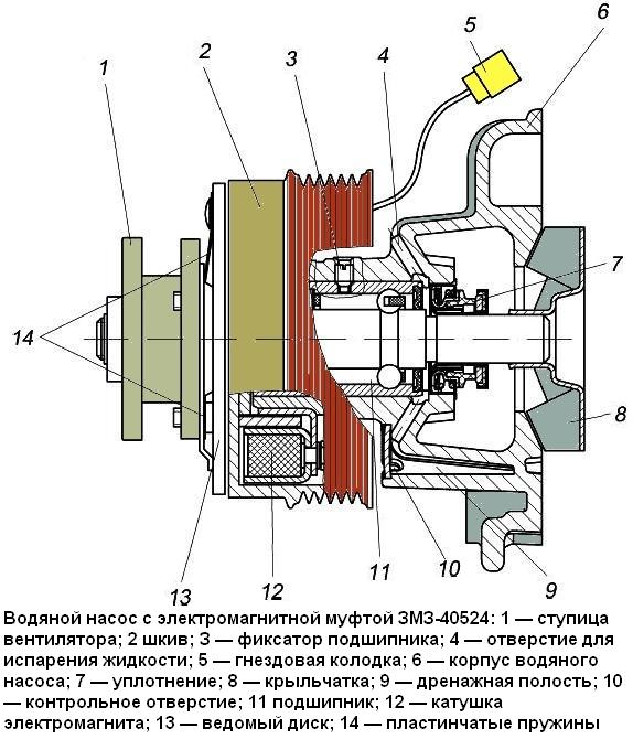 Конструкція, заміна водяного насоса двигуна ЗМЗ-40524