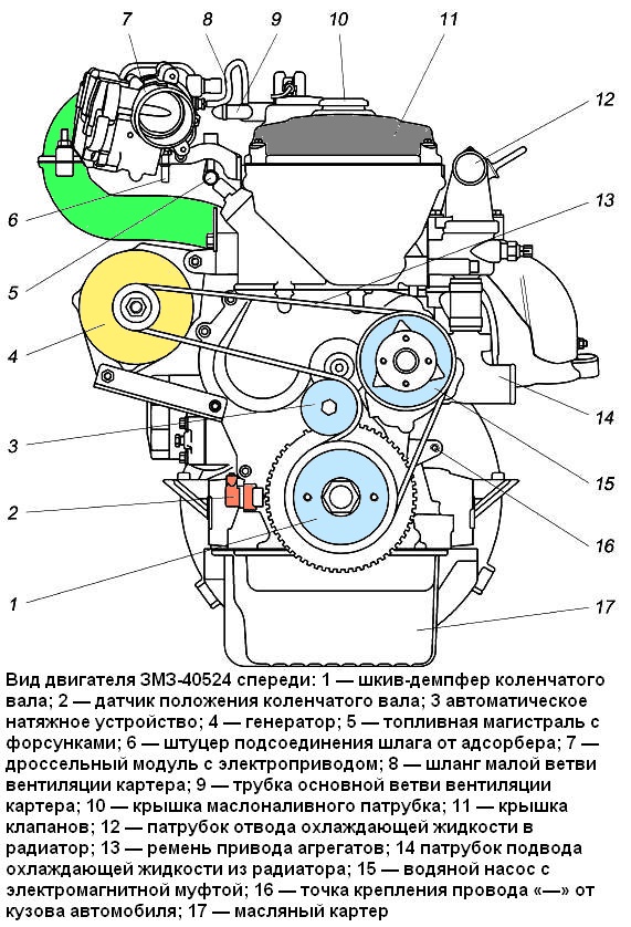 Frontansicht des Motors ZMZ-40524