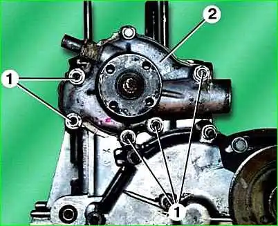 Removing the water pump sosa