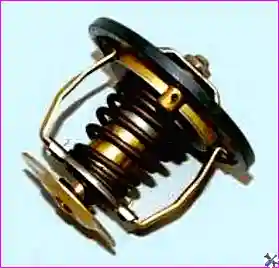 Снятый термостат с маркировкой для идентификации