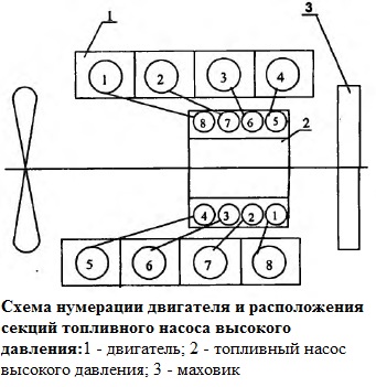 esquema de numeración del motor y disposición de las secciones de la bomba de inyección