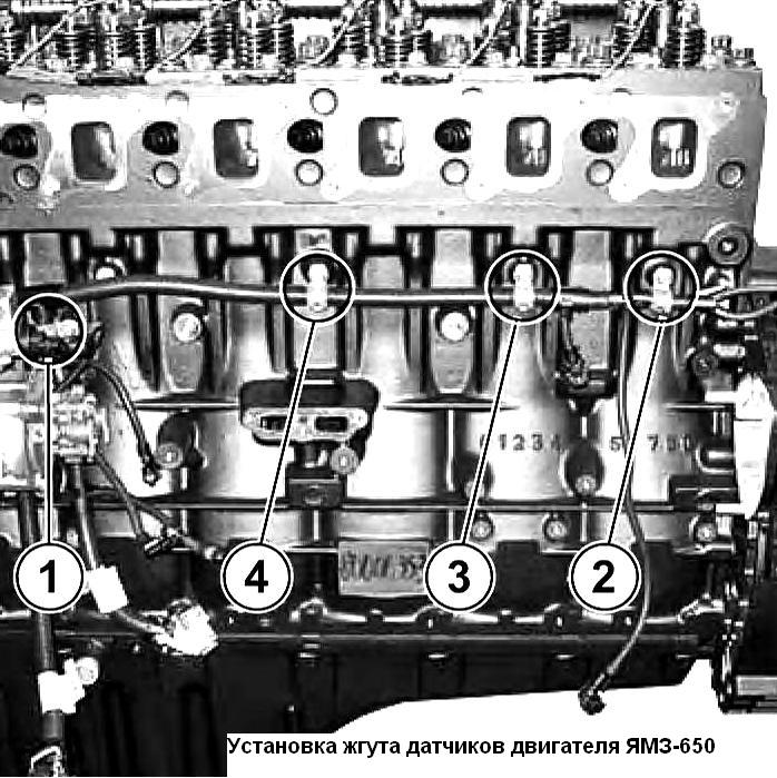 Установка джгута датчиків двигуна ЯМЗ-650