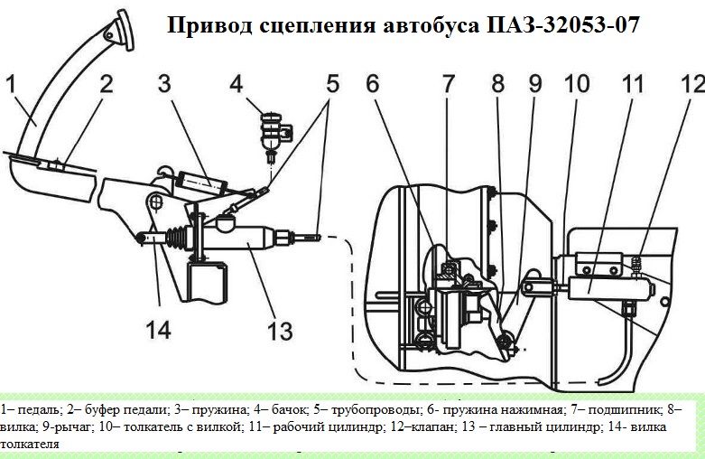 Конструкция сцепления ПАЗ-32053-07, ПАЗ-4234