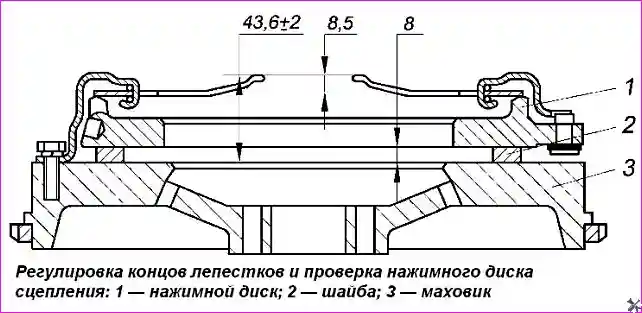 Регулировка концов лепестков