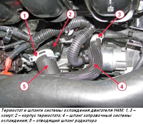 Термостат и шланги системы охлаждения двигателя Н4М