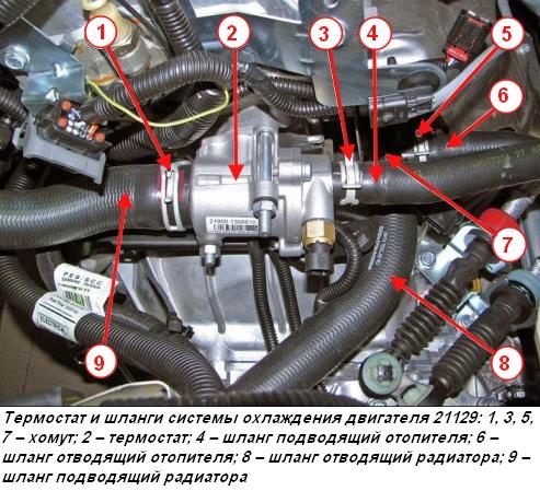 Термостат и шланги системы охлаждения двигателя 21129
