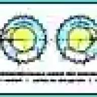 Як точно перевірити та коригувати фази газорозподілу двигуна ЗМЗ-405